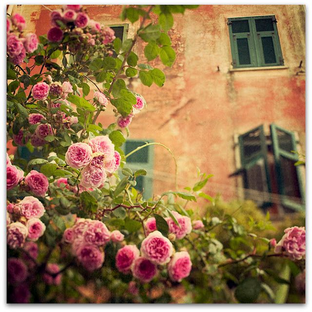 WHERE THE WILD ROSES GROW CHORDS (ver 3) by Nick Cave & The Bad Seeds